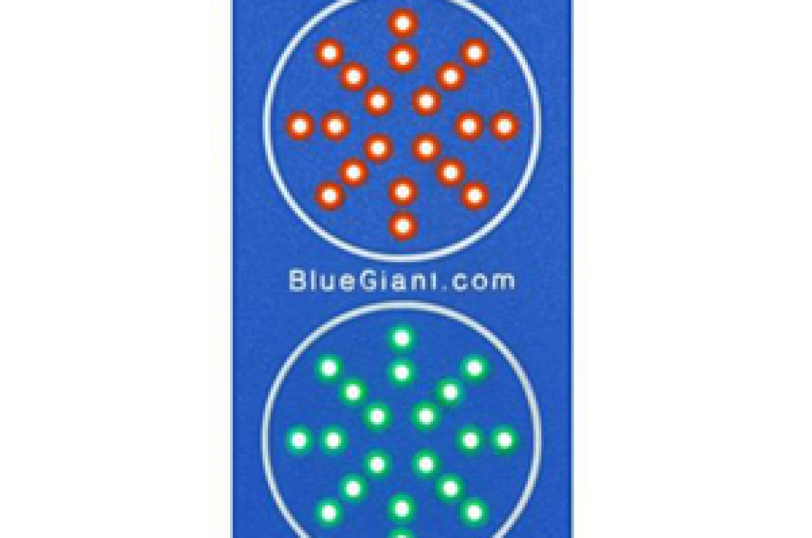 Slim Profile LED Traffic Light